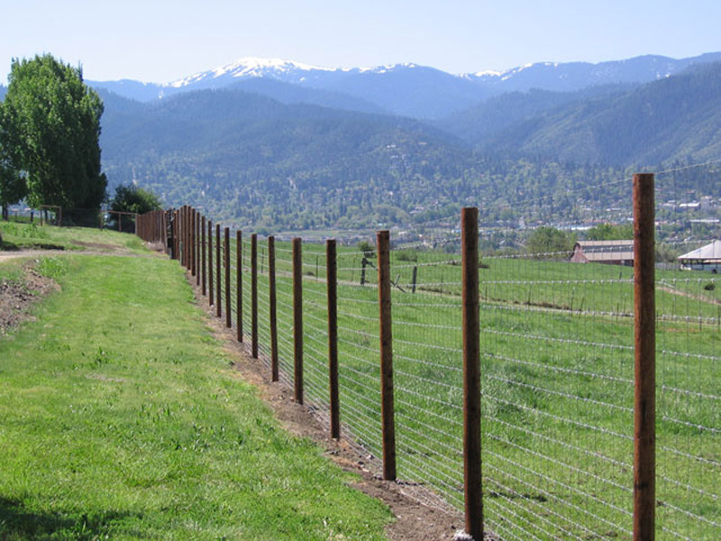 Penta Wood - Quality Fence Company